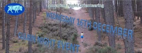 culbin forest