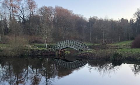 Burgie Arboretum